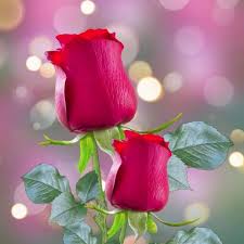 年最值得购买的优质超便宜魔法-稳定可以用的节点加速器推荐