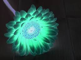 Panda魔法 (熊猫魔法) 评价-稳定可以用的节点加速器推荐