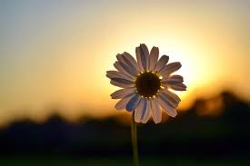 在中国购买收费魔法有些稳定便宜可以用的节点排名-稳定可以用的节点加速器推荐